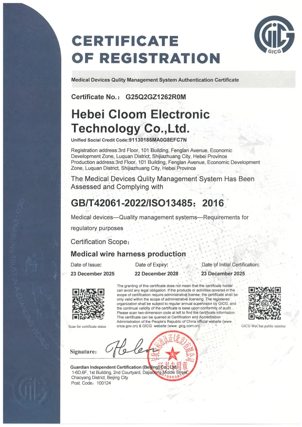 ISO 13485 医疗器械质量管理体系认证